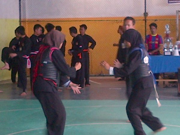 Pencak Silat